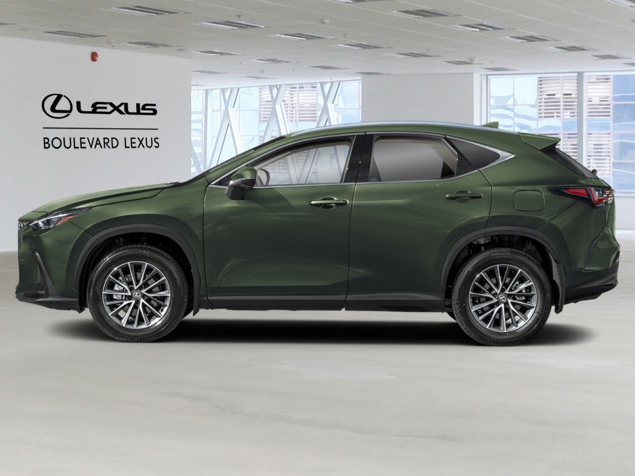 LEXUS NX 20059 | NX 350 2026 Vert nori nacré Québec - photo #1
