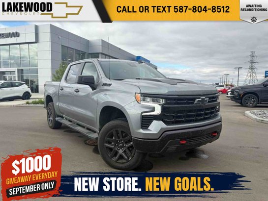 2024 Chevrolet Silverado 1500 2024 Grey