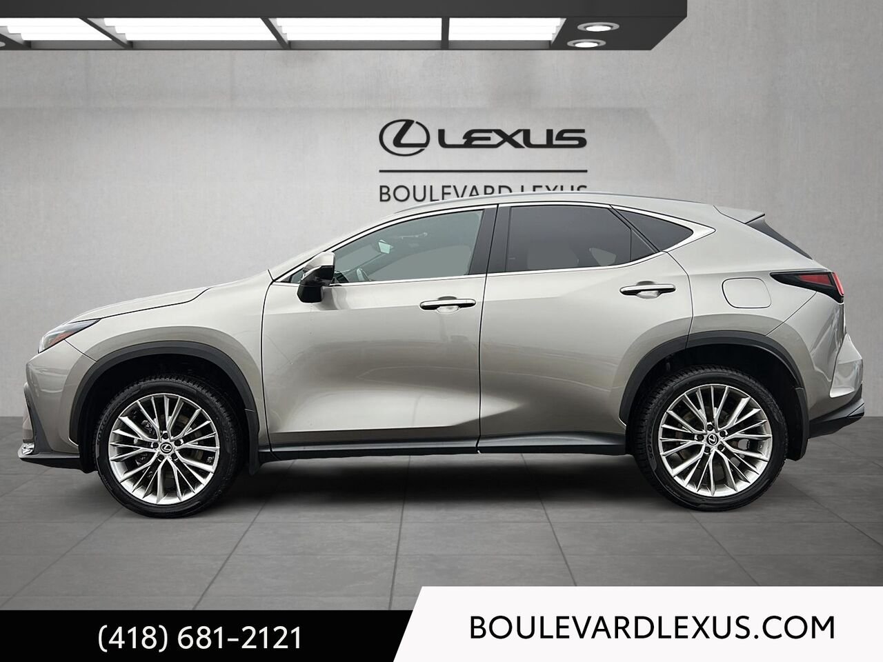 2024 Lexus NX 20130A | NX 350h TI Silver Quebec - photo #5