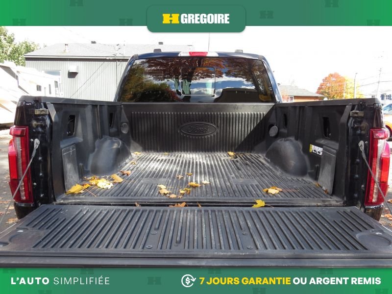 2025 Ford F150 Blue Laval - photo #30