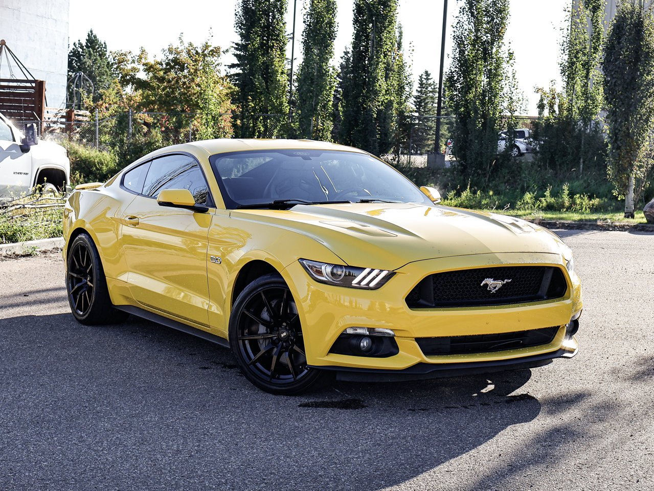 2015 Ford Mustang 2dr Fastback GT Premium Yellow Sherwood Park - photo #1