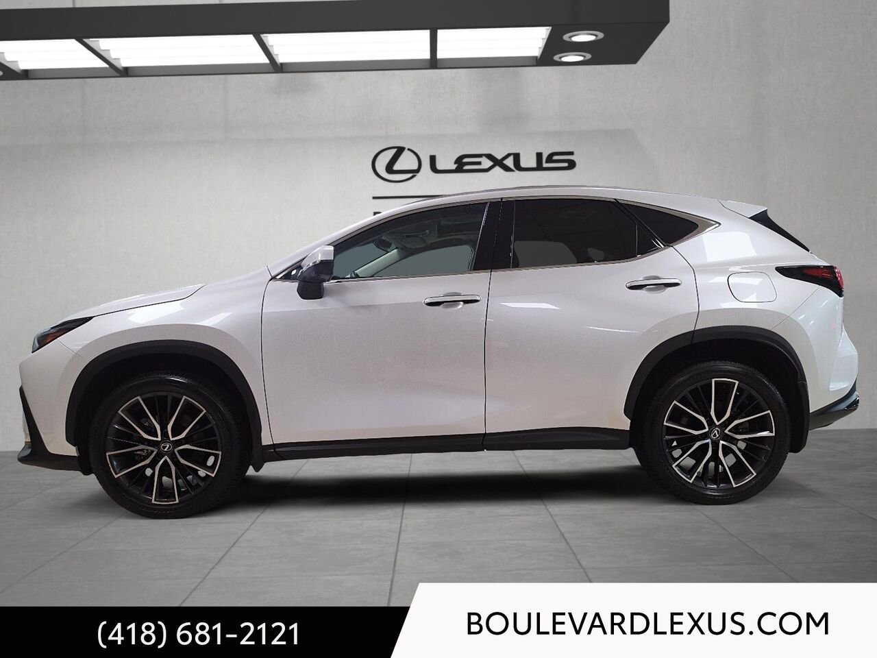 Lexus NX 20129A | NX 350 TI 2024 Blanc Québec - photo #5