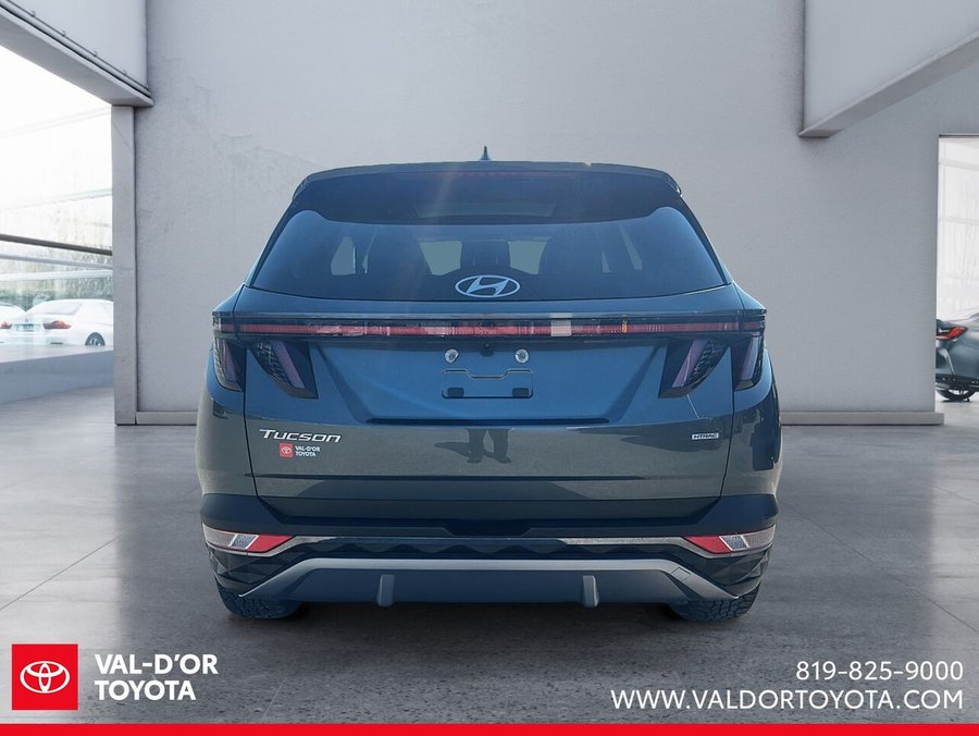 Hyundai Tucson 2023 2023 Gris
