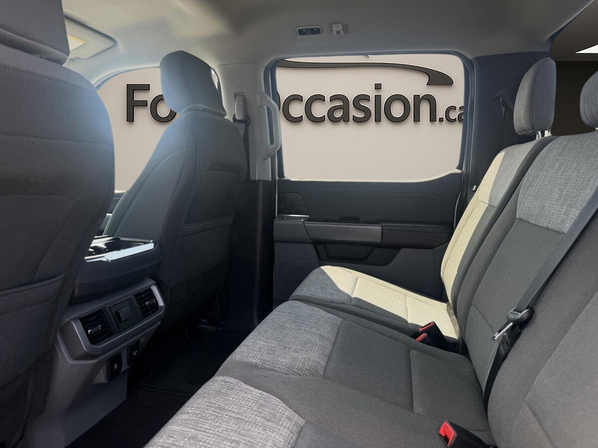 2023 Ford F-150 Lightning White  - photo #6