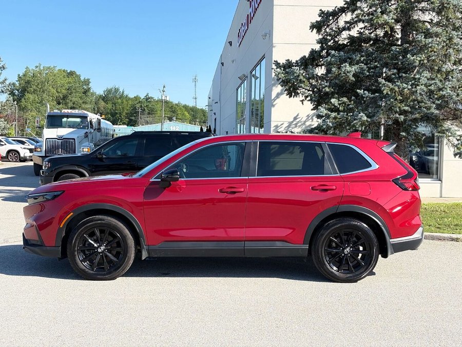 Honda CR-V 2025 2025 Rouge