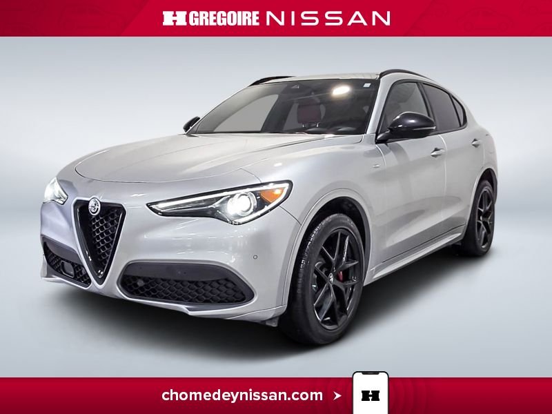2021 Alfa Romeo Stelvio Silver Saint-Eustache - photo #2