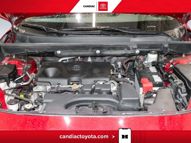 2023 Toyota Rav 4 Red Laval - photo #36