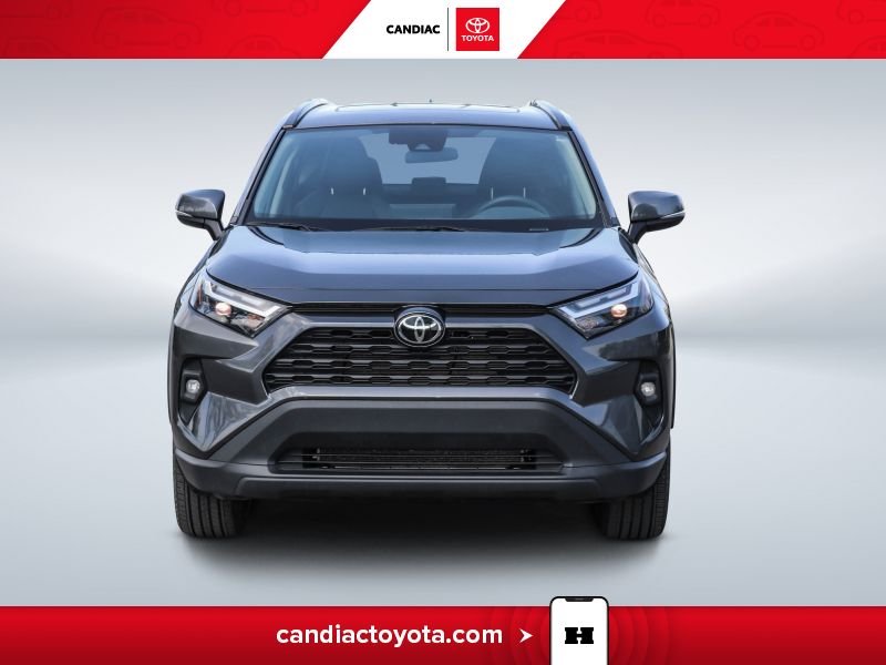 2024 Toyota Rav 4 2024 Grey