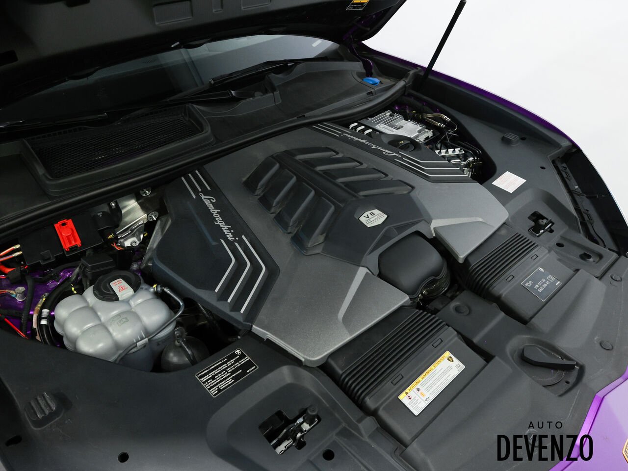 Lamborghini Urus 2024 Mauve Saint-Eustache - photo #20