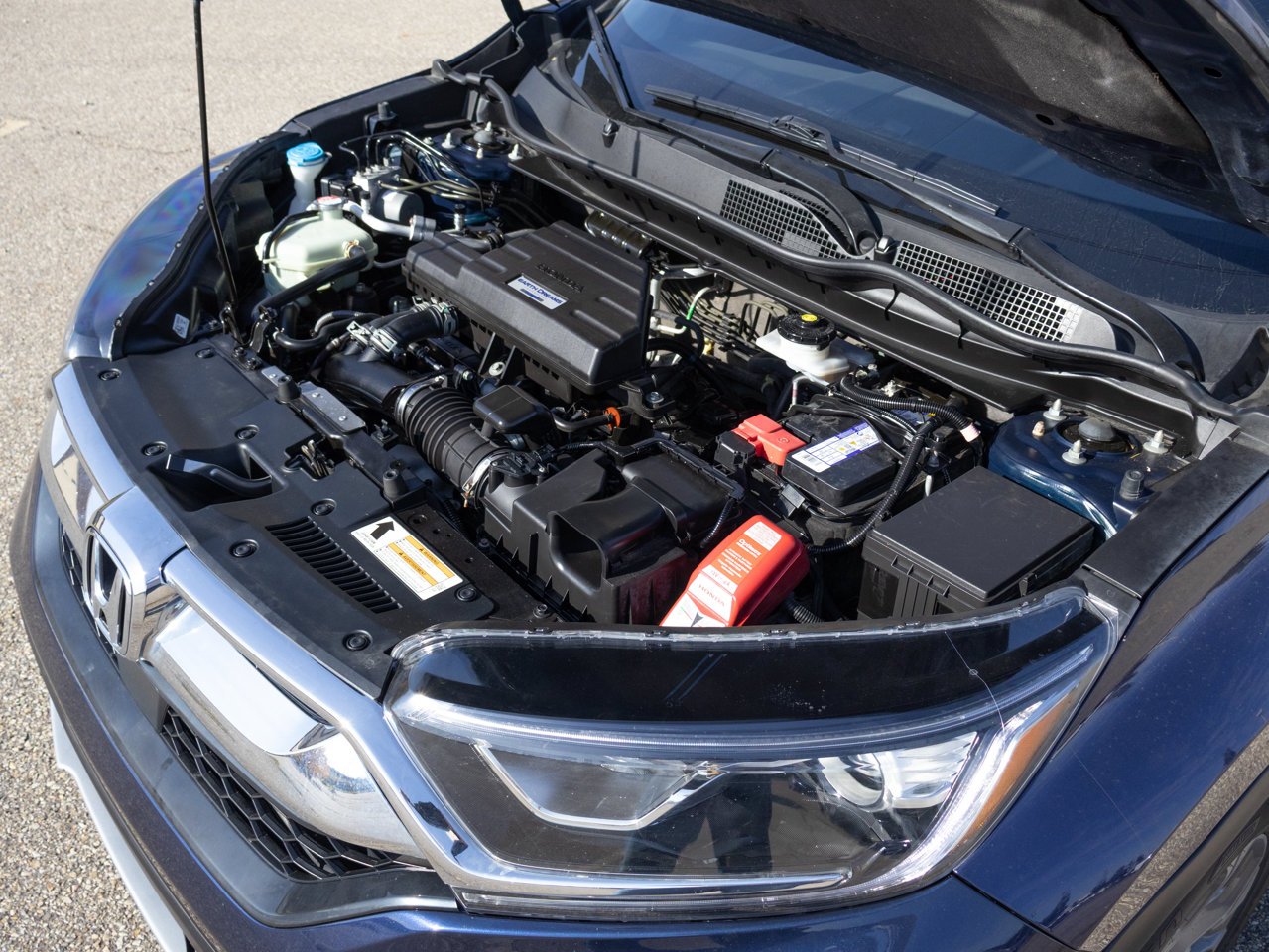 2019 Honda CR-V EX-L AWD Blue Sherwood Park - photo #6