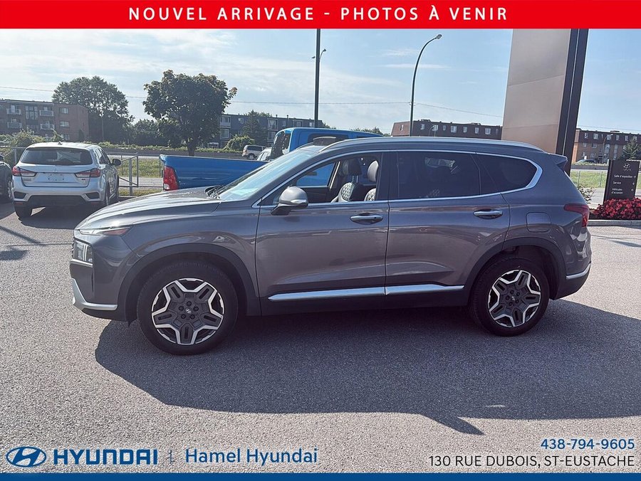 2021 Hyundai Santa Fe Hybrid 2021 Grey
