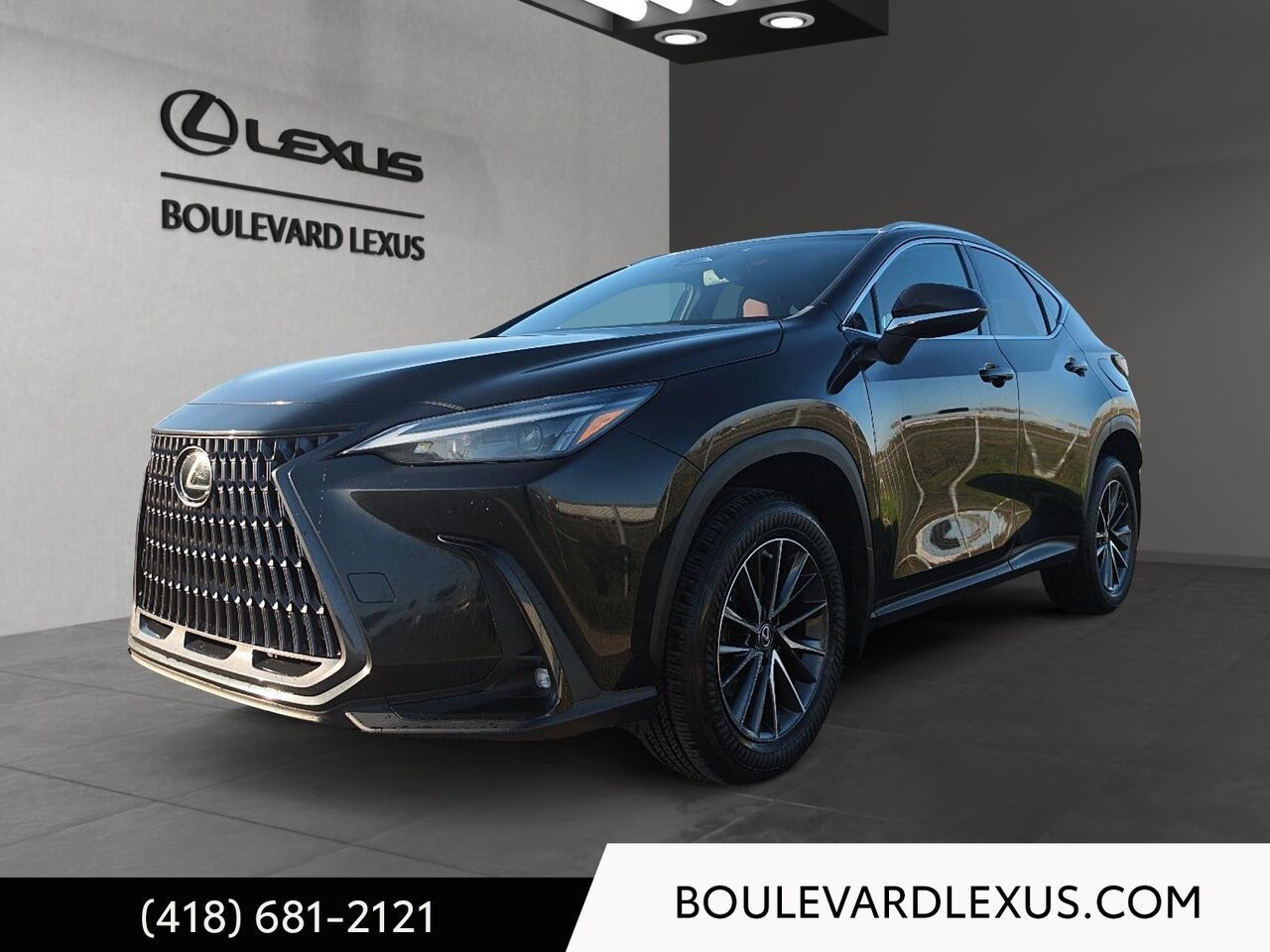 Black 2022 Lexus NX Hybrid SUV / Crossover All-Wheel Drive Continuously Variable Transmission