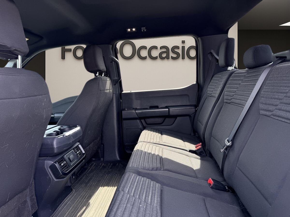 2023 Ford F-150 Grey  - photo #13