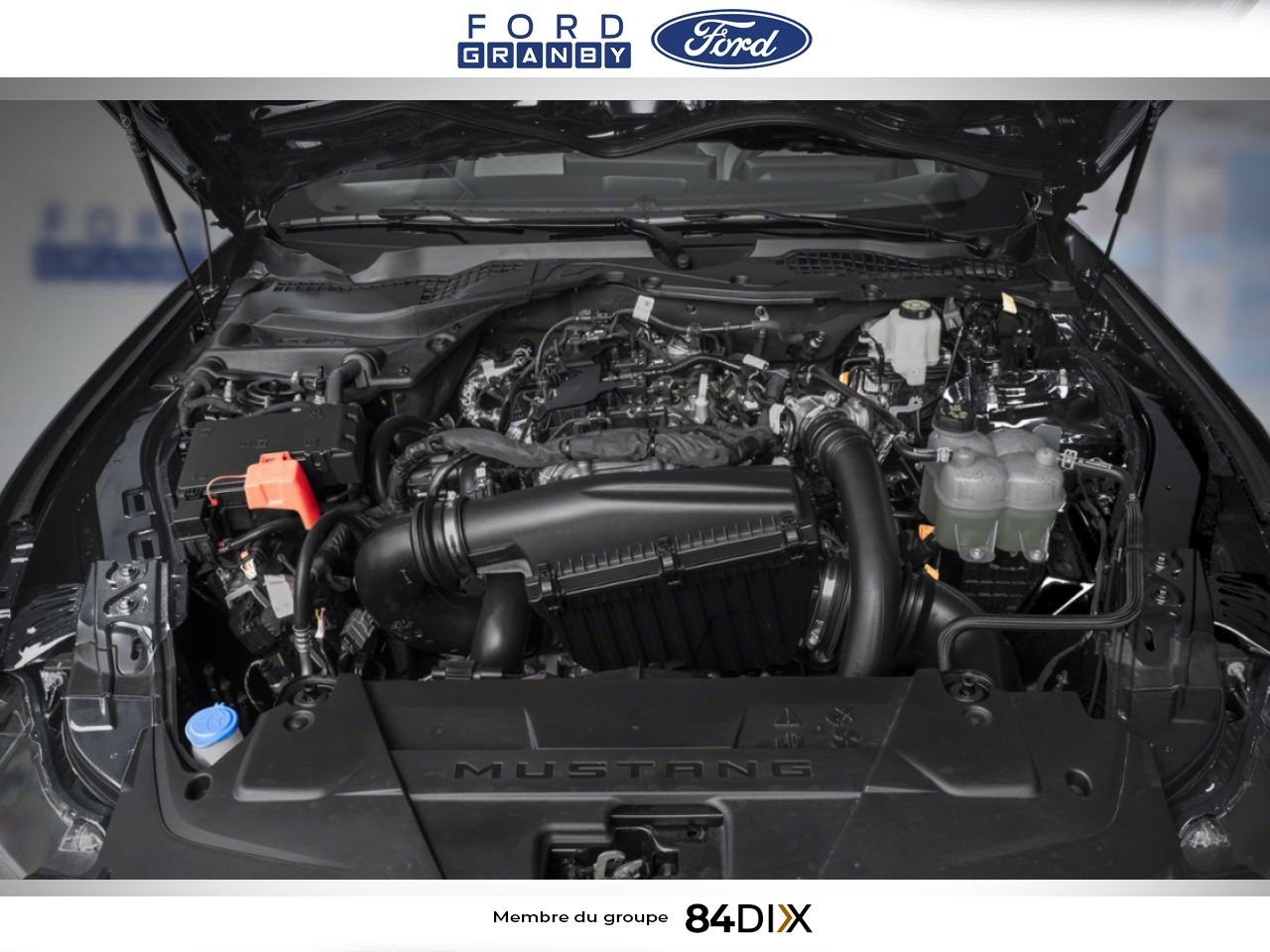 2026 Ford Mustang Avalanche Grey Granby - photo #8