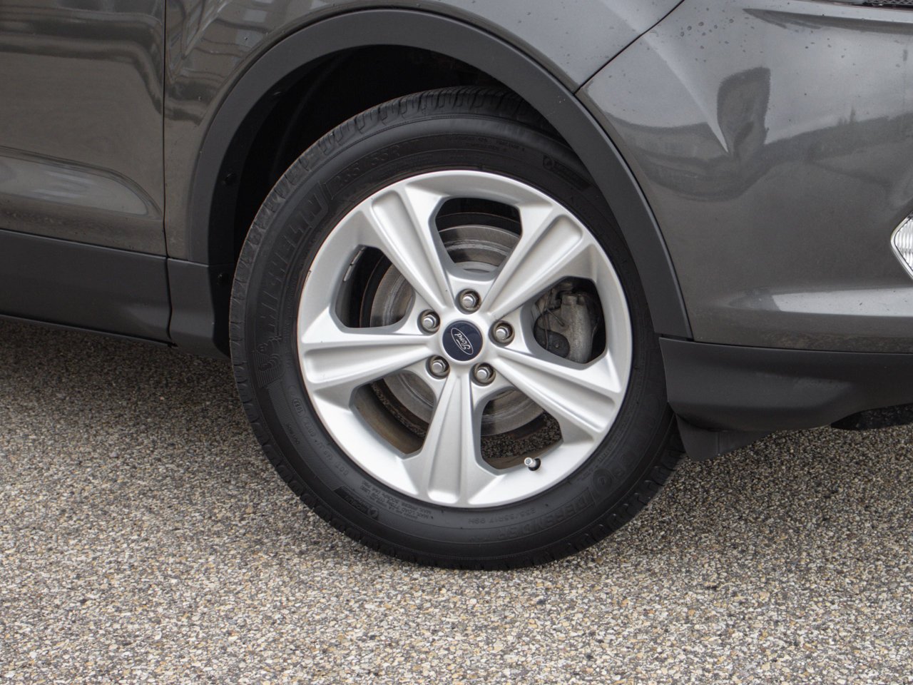 2015 Ford Escape FWD 4dr SE Grey Sherwood Park - photo #4