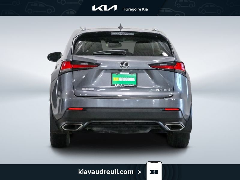 Lexus NX KA8037 | NX 300 AWD 2021 Gris Laval - photo #5