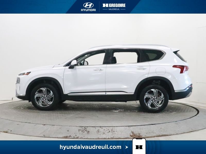 Hyundai Santa Fe 2023 Blanc Blainville - photo #5