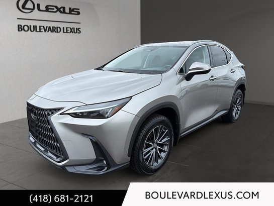 Lexus NX 2022 2022 Argent