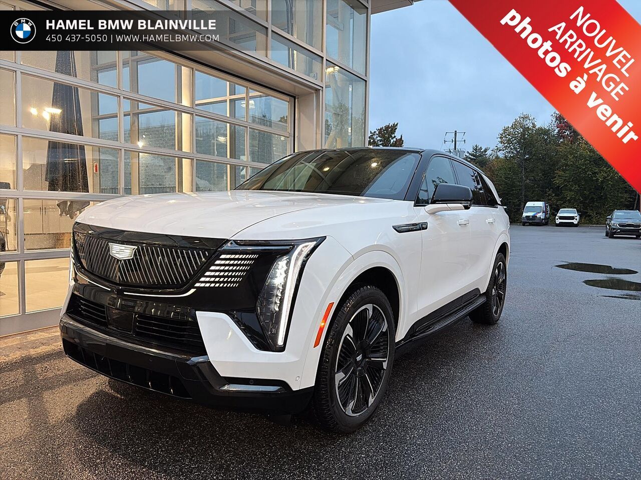 White 2025 Cadillac Escalade IQ SUV / Crossover All-Wheel Drive Automatic
