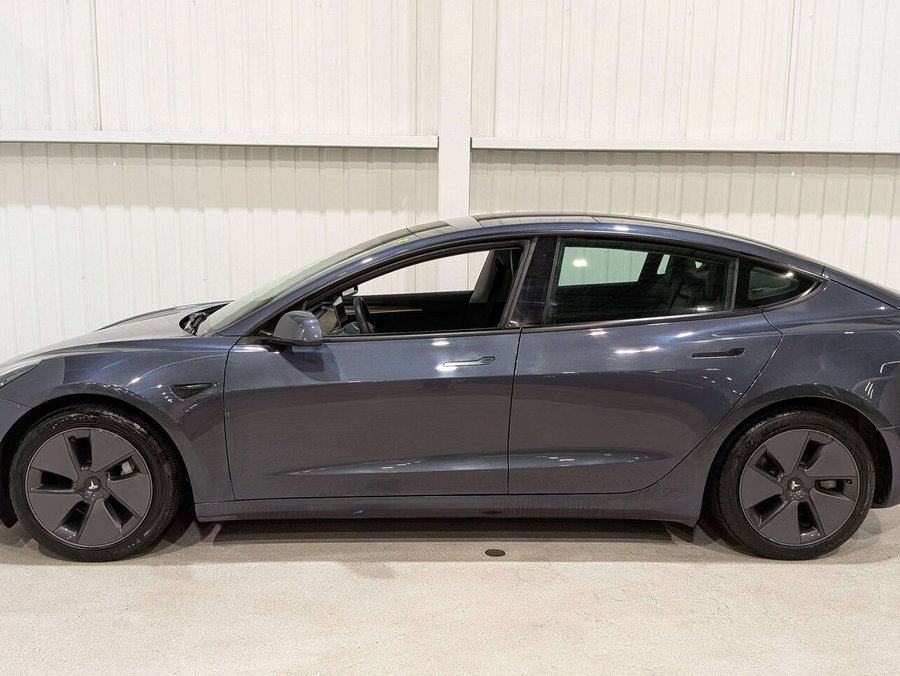 Tesla Model 3 Standard Range Plus RWD 2021 Gris
