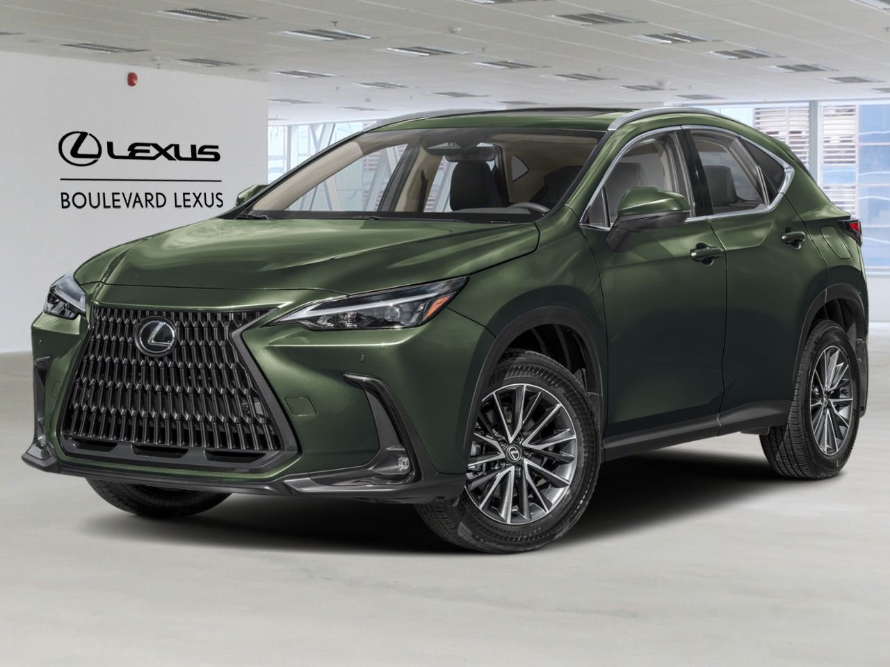LEXUS NX 20059 | NX 350 2026 Vert nori nacré Québec - photo #0