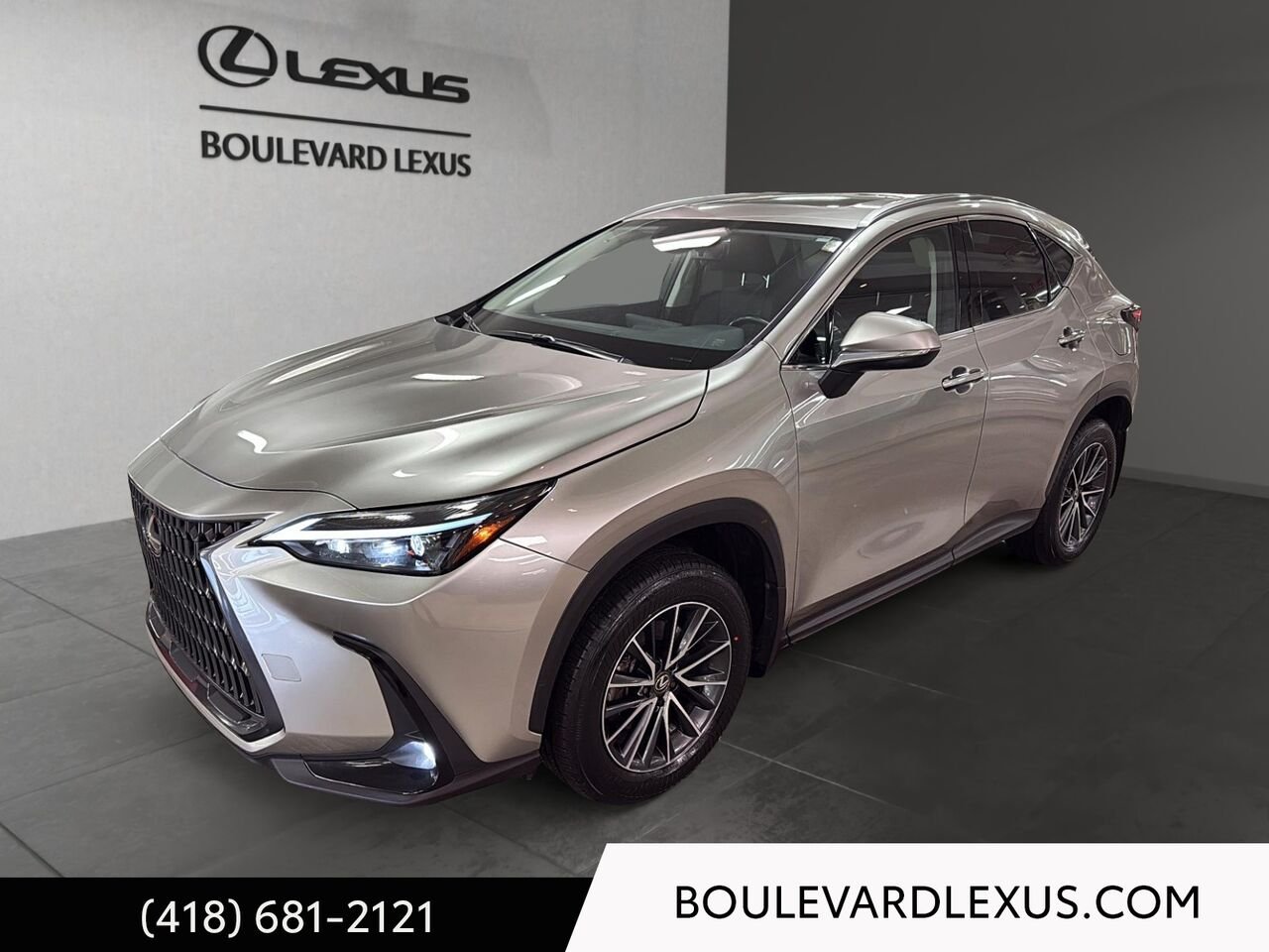 Lexus NX 19365A 2024 Argent Québec - photo #0
