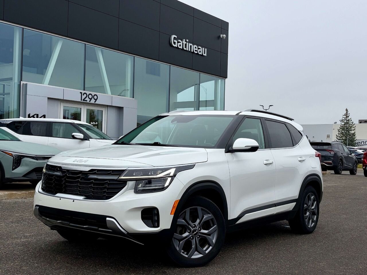 Kia Seltos 2024 Blanc Gatineau - photo #8