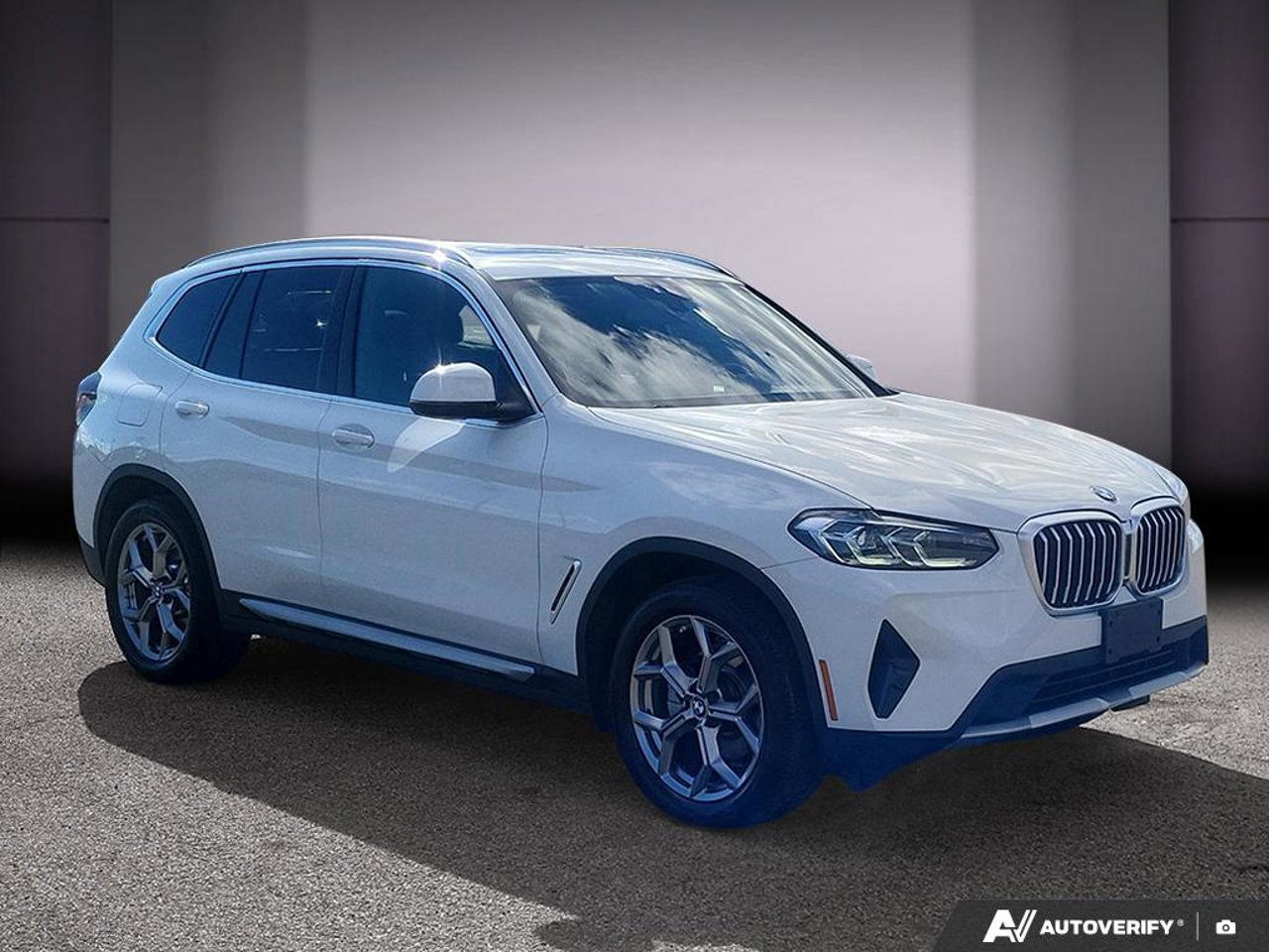 BMW X3 5UX53DP01P9S45940 2023 Blanc Mirabel - photo #6