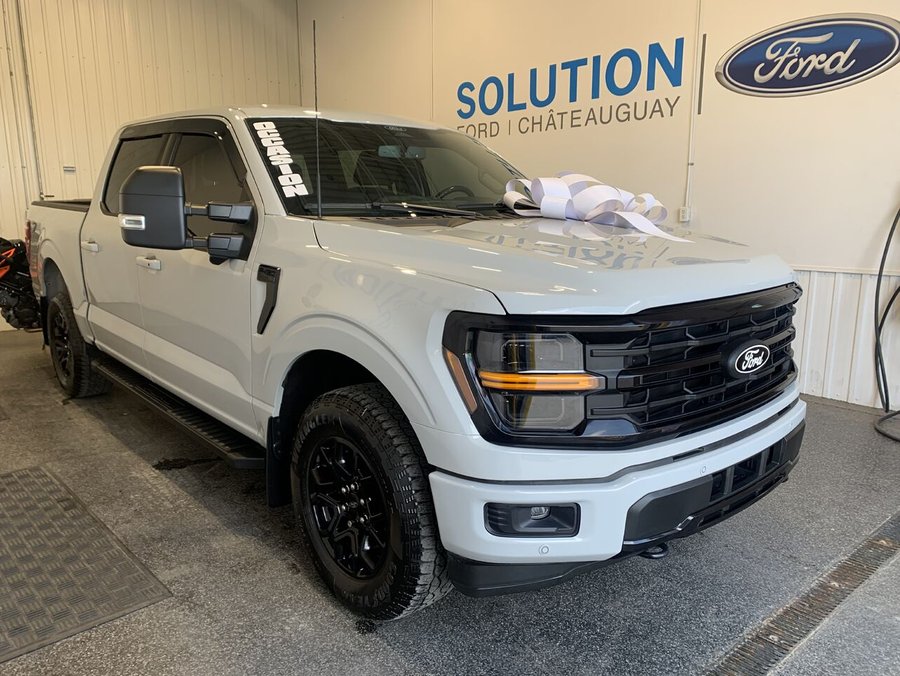 Ford F-150 2024 Gris