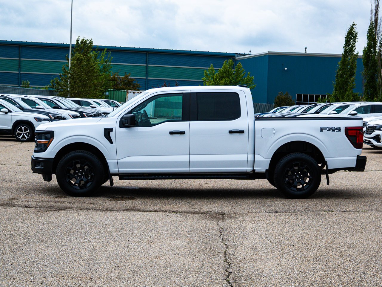 2024 Ford F-150 STX 4WD SuperCrew 5.5' Box White Sherwood Park - photo #9