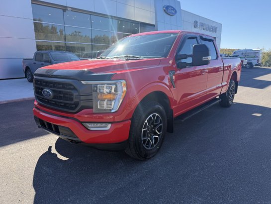 2023 Ford F-150 XLT cabine SuperCrew 4RM caisse de 6,5 pi Red
