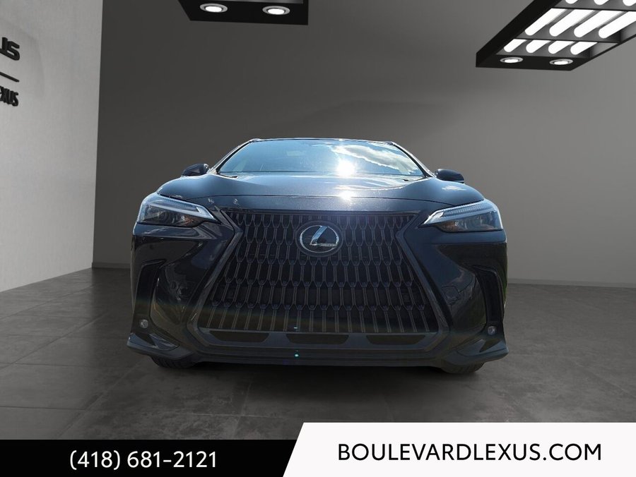 Lexus NX 2022 2022 Noir