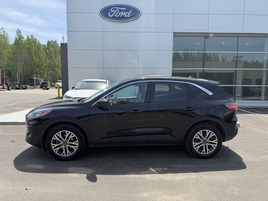 Ford Escape 2022 2022 Noir