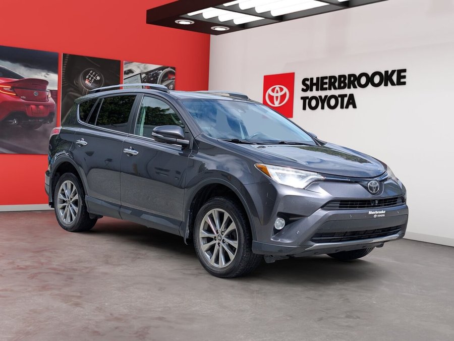 2017 Toyota RAV4 2017 Grey