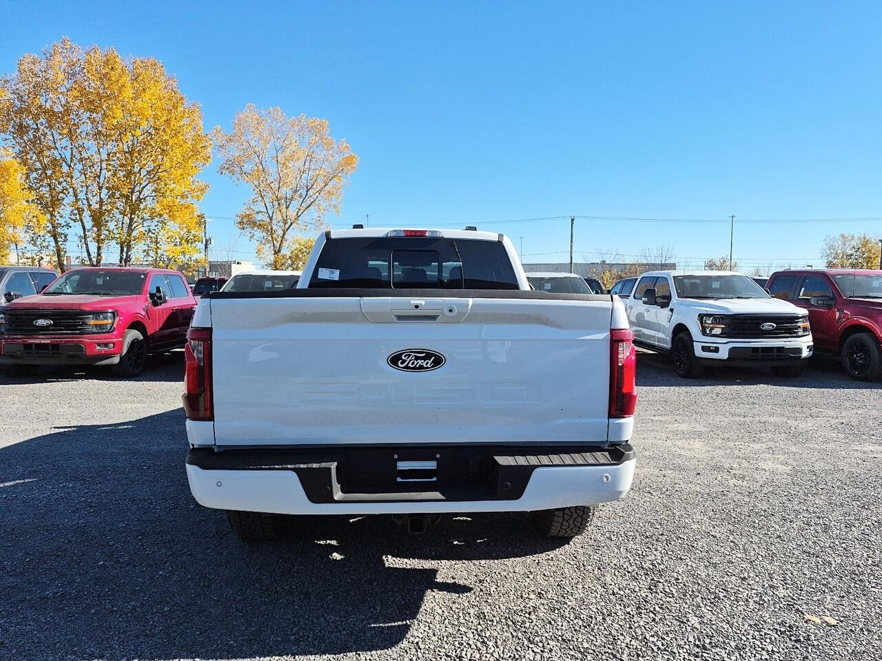 Ford F-150 2F458 | XLT 2026 Blanc Oxford Saint-Jérôme - photo #4