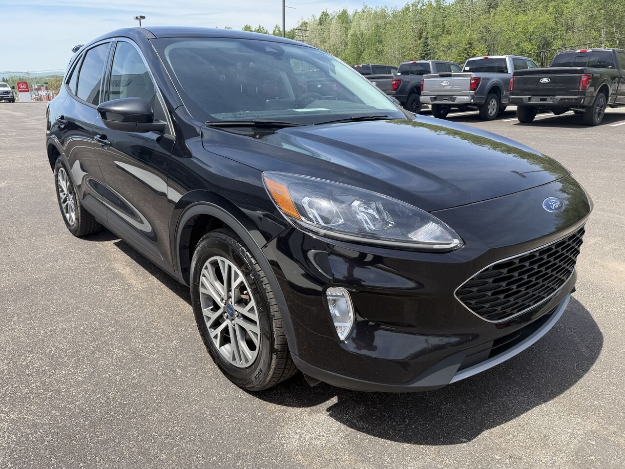 Ford Escape 2022 Noir Mont-Laurier - photo #7