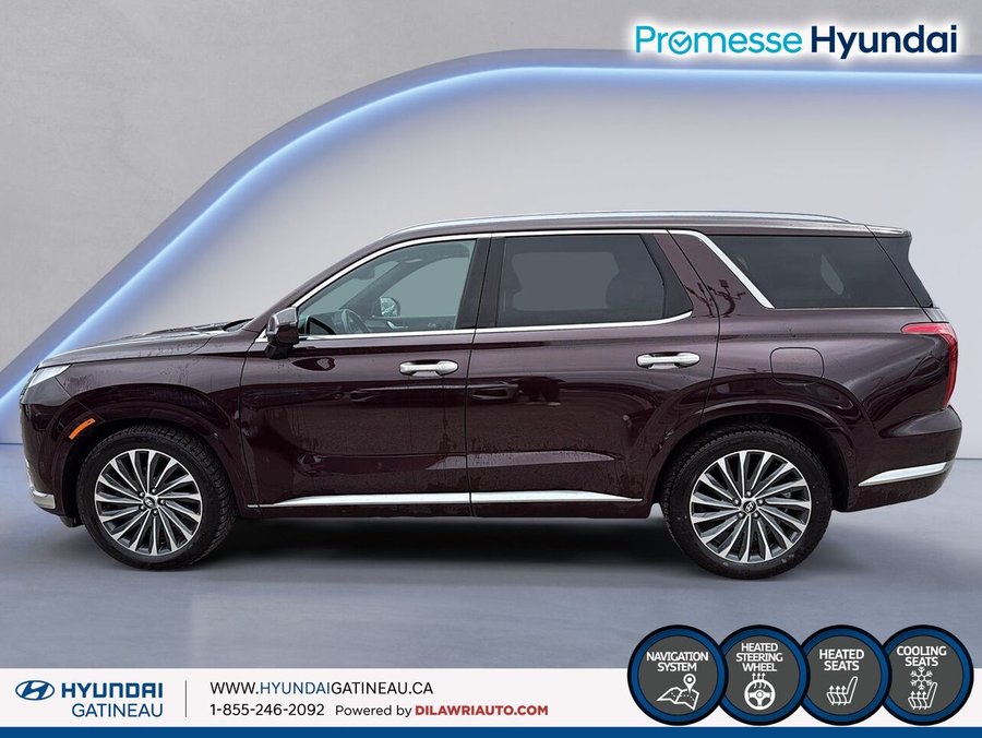 Hyundai Palisade 2024 2024 Rouge