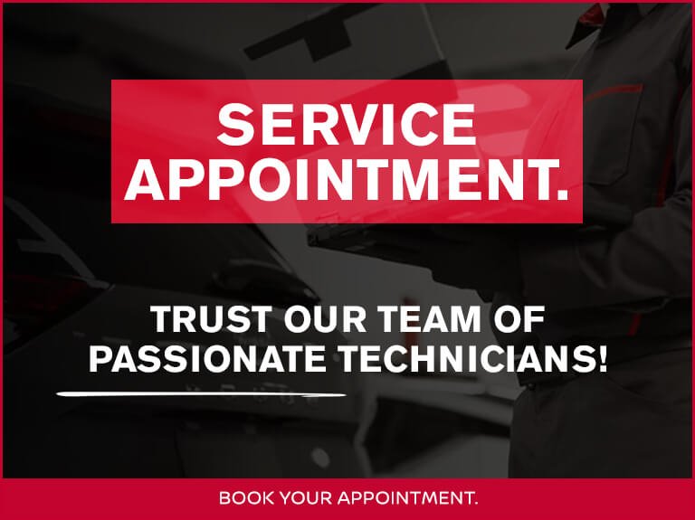 Service