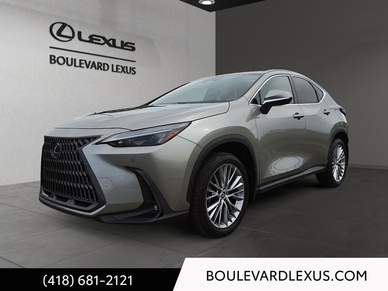 Silver 2024 Lexus NX SUV / Crossover  Automatic