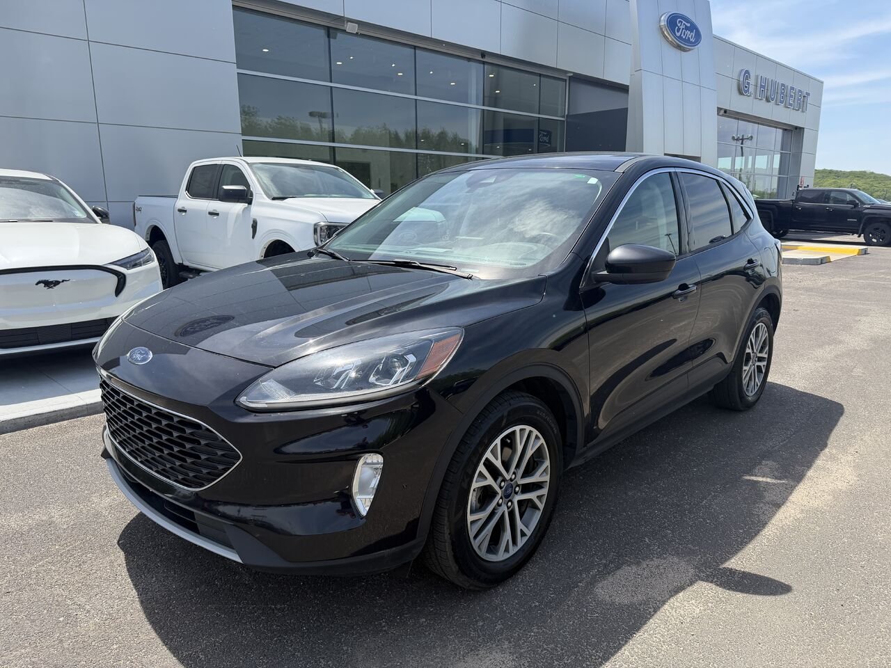 Ford Escape 2022 Noir Mont-Laurier - photo #0
