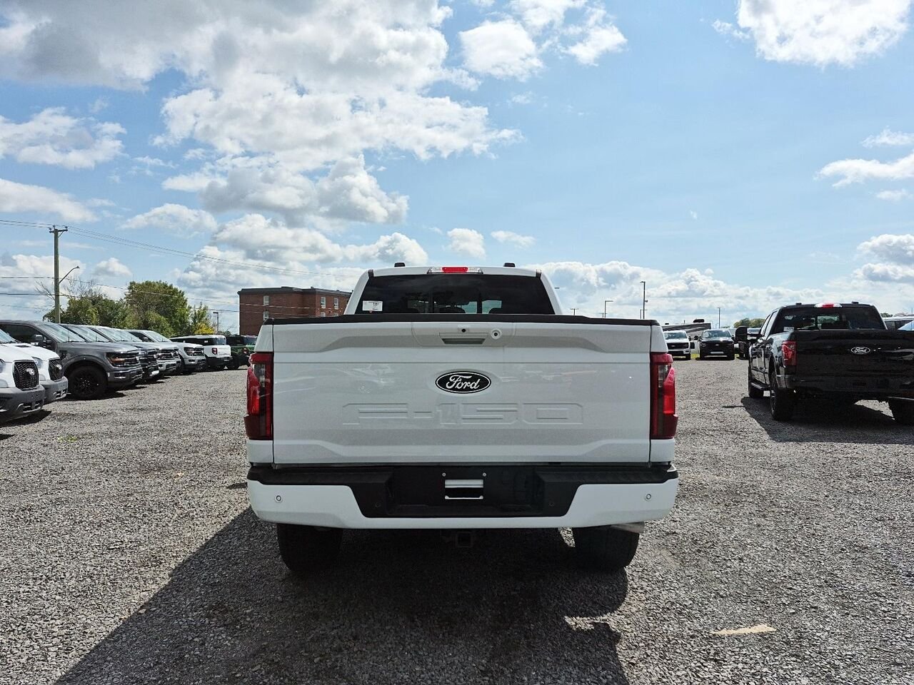 Ford F-150 2F060 | XLT 2026 Blanc Oxford Saint-Jérôme - photo #4