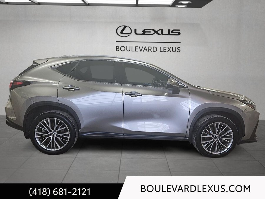 Lexus NX 350h Luxe 2024 Argent