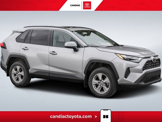 2023 Toyota Rav 4 2023 Silver