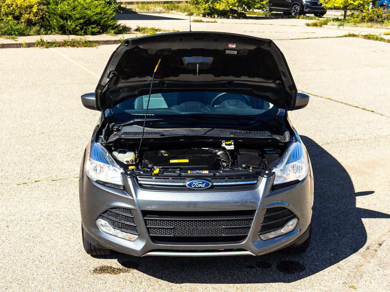 2014 Ford Escape 4WD 4dr SE Grey Sherwood Park - photo #9