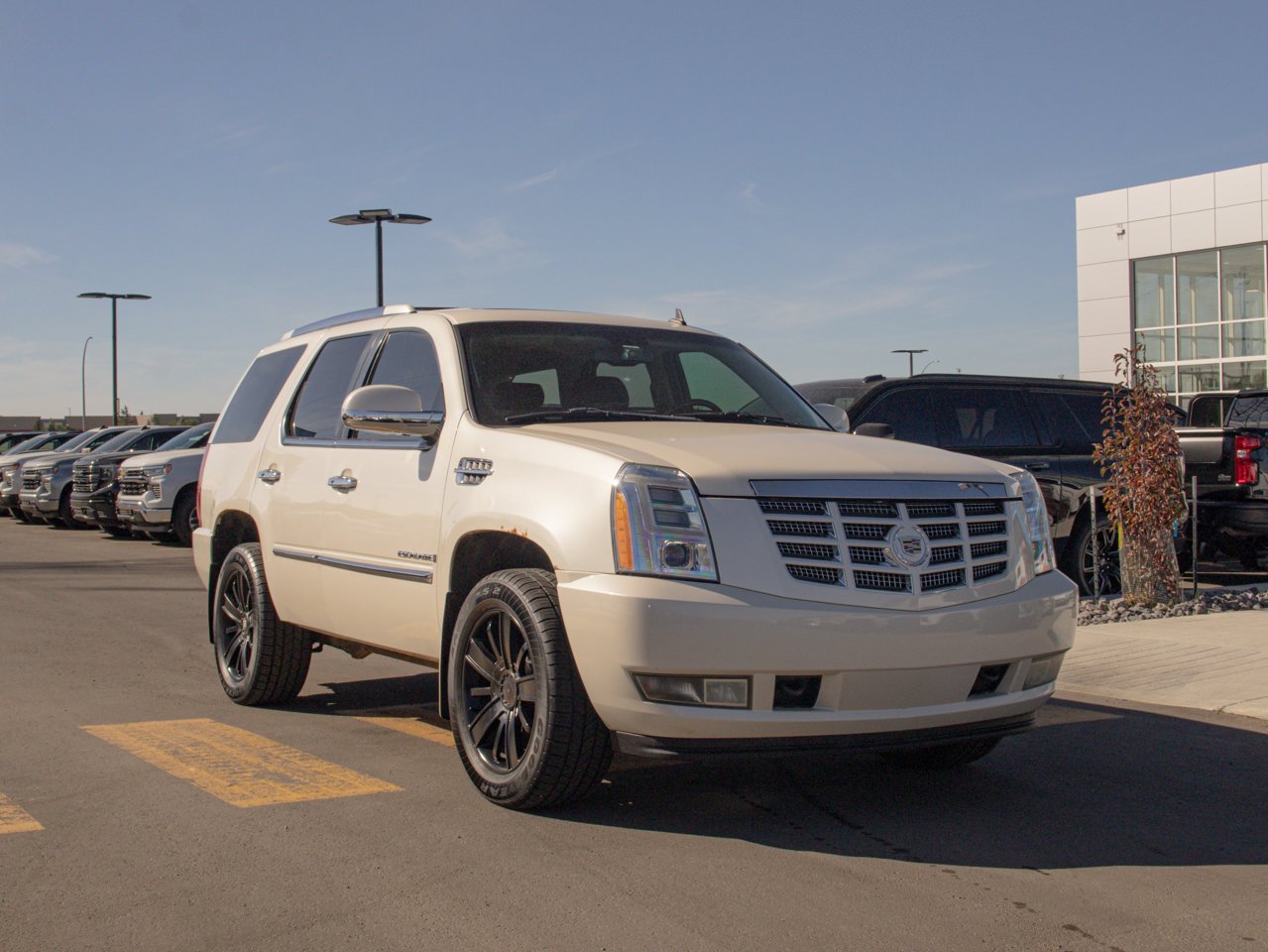 2008 Cadillac Escalade AWD 4dr White Sherwood Park - photo #13