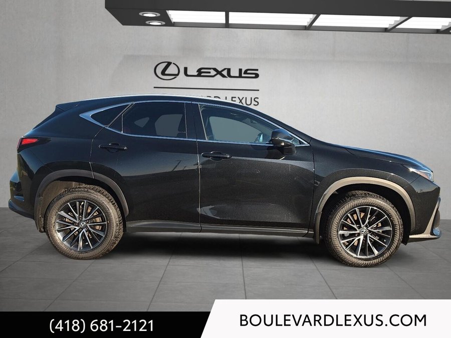 2022 Lexus NX 2022 Black