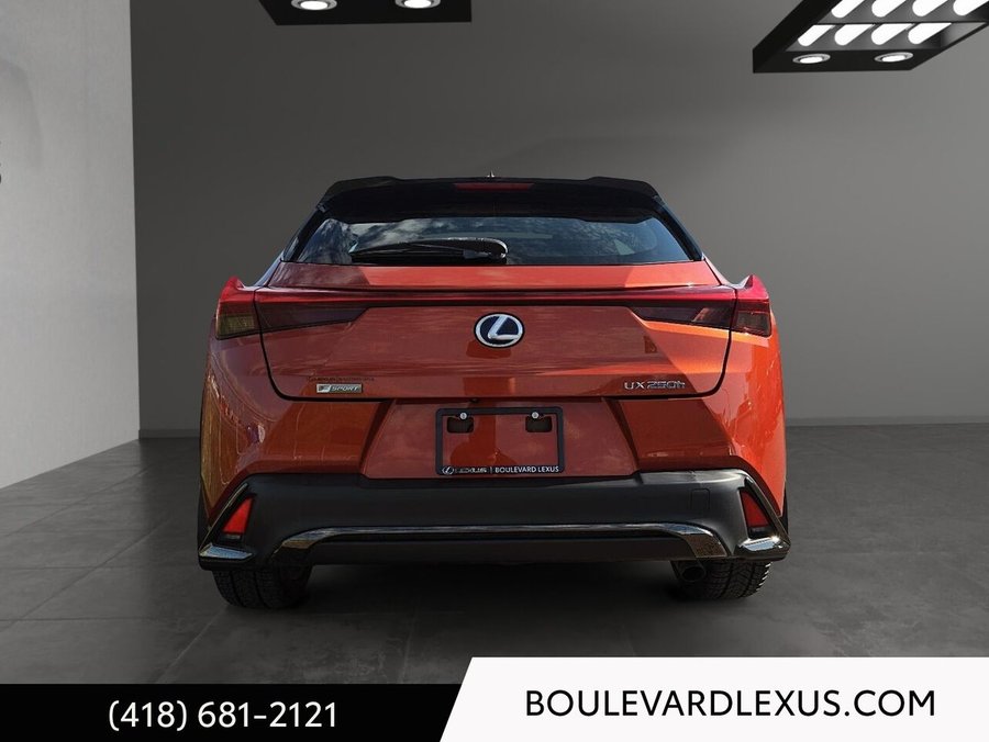 Lexus UX 2019 2019 Orange