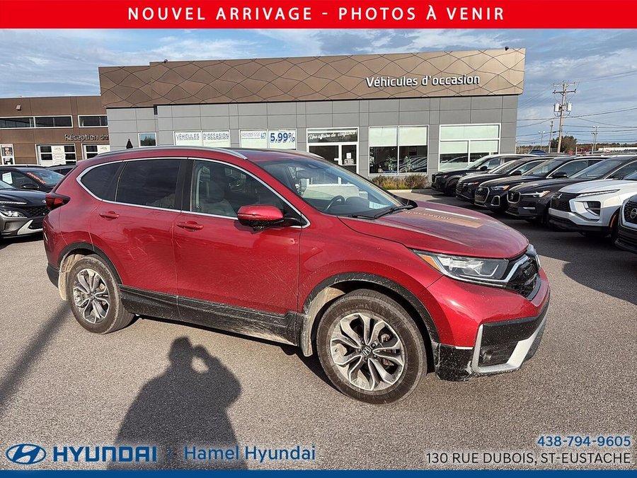 Honda CR-V EX-L AWD 2020 Rouge