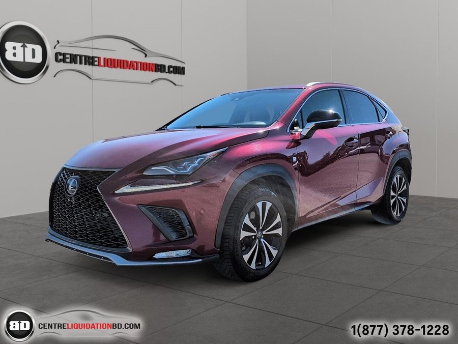 Lexus NX 2019 2019 Rouge