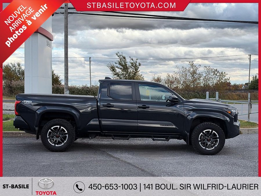 TOYOTA TACOMA TRD SPORT 2025 Gris